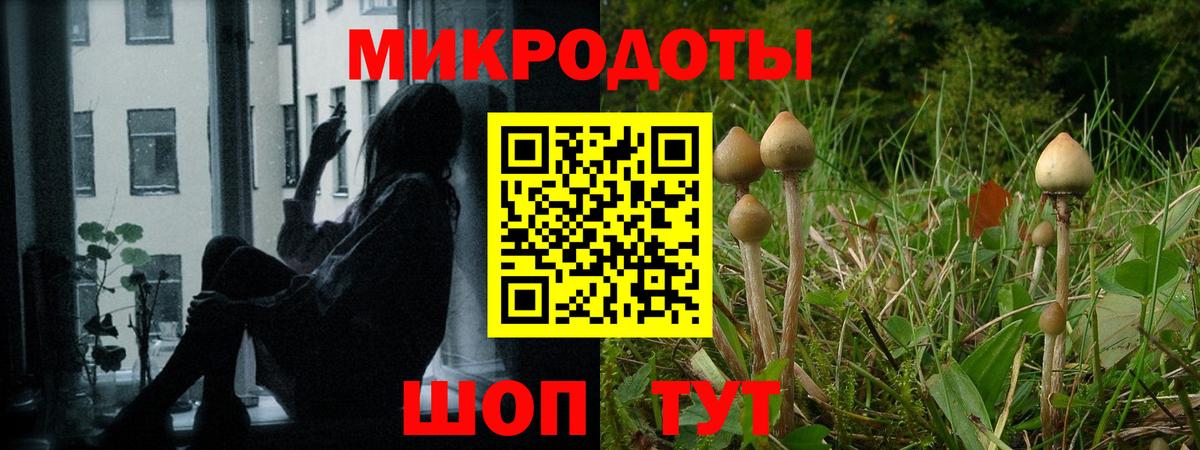 Псилоцибиновые грибы Кашира