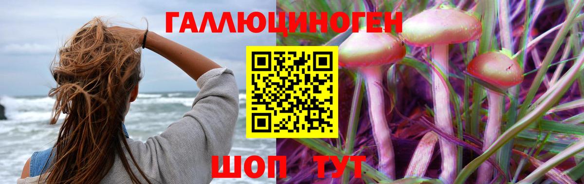 Кашира  Псилоцибиновые грибы прущие грибы  Вход с VPN  Галлюциногенные грибы мицелий 