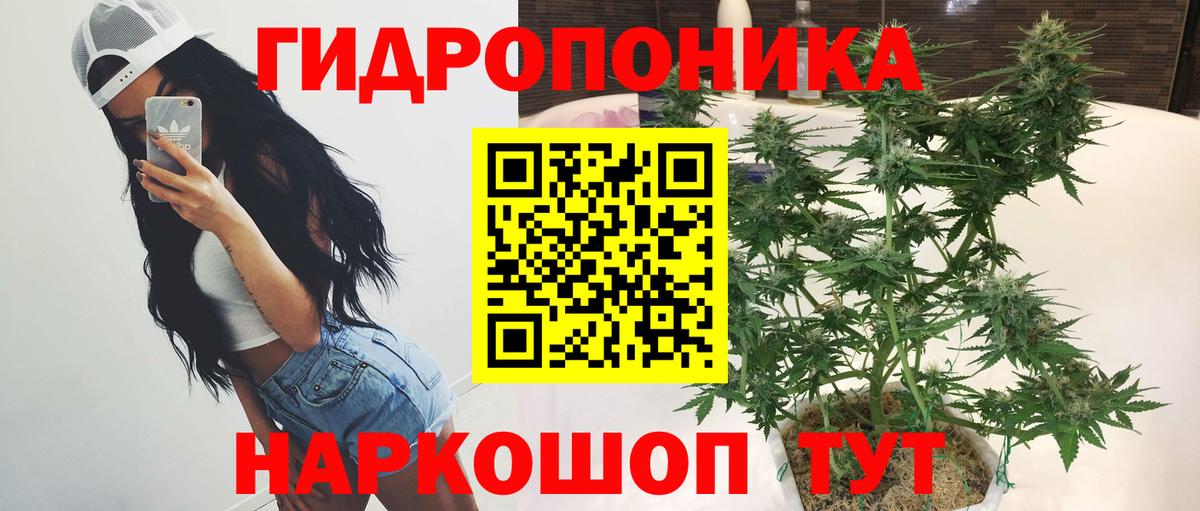Шишки марихуана VHQ Кашира